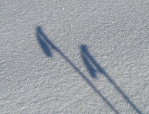 ski-ombre-dp