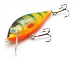 sport-peche-2