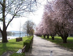 remich-esplanade-15