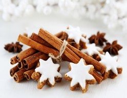 Stages de Noël