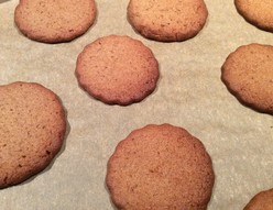 speculoos-1